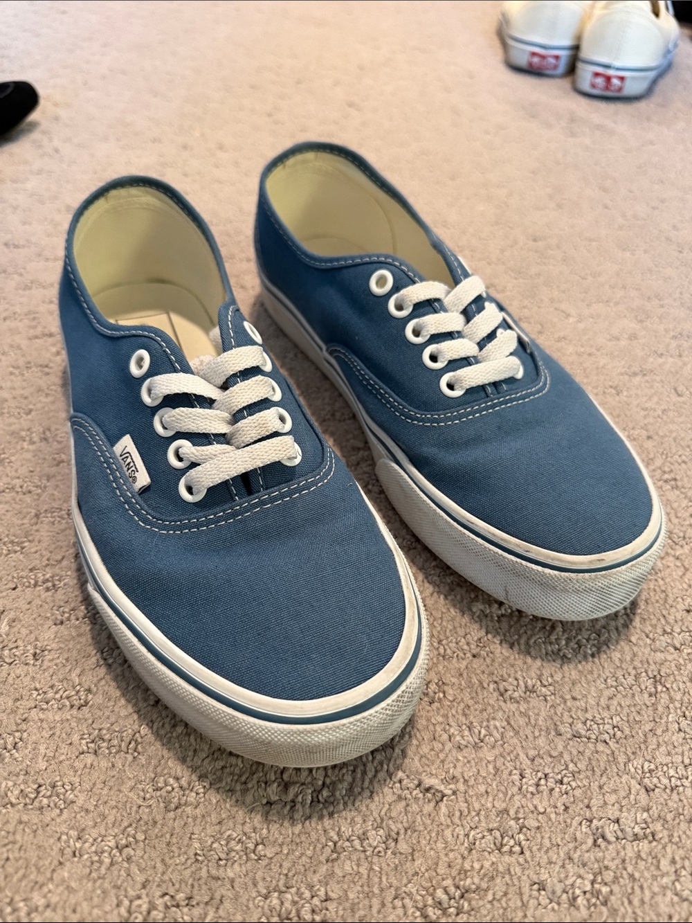 Vans Blue Canvas Low-Top Sneakers with White Laces